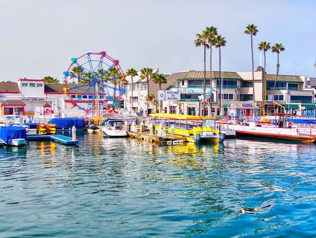 Coastal Southern California view with palm trees