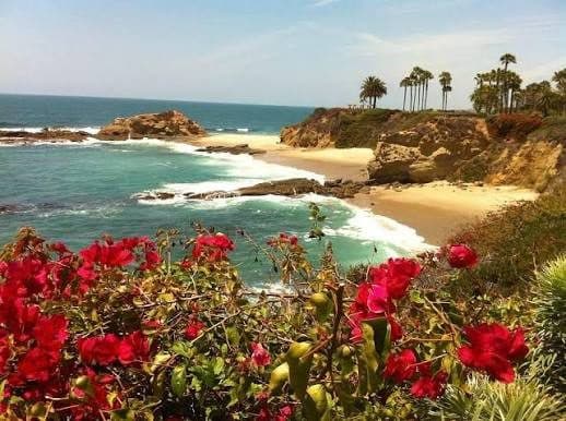 Laguna Beach cove with turquoise water and cliffs